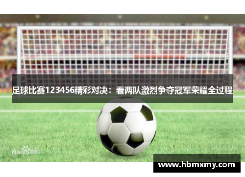足球比赛123456精彩对决：看两队激烈争夺冠军荣耀全过程